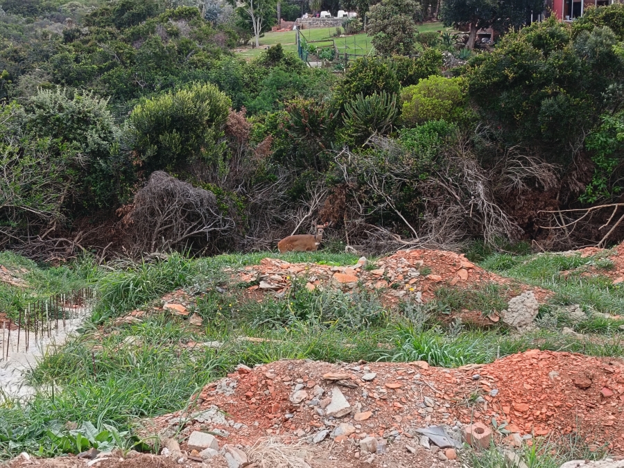 0 Bedroom Property for Sale in Noorsekloof Eastern Cape